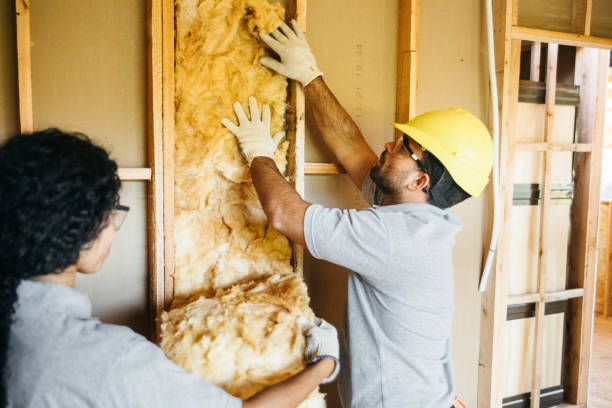 Best Soundproof Insulation Installation  in Holladay, UT